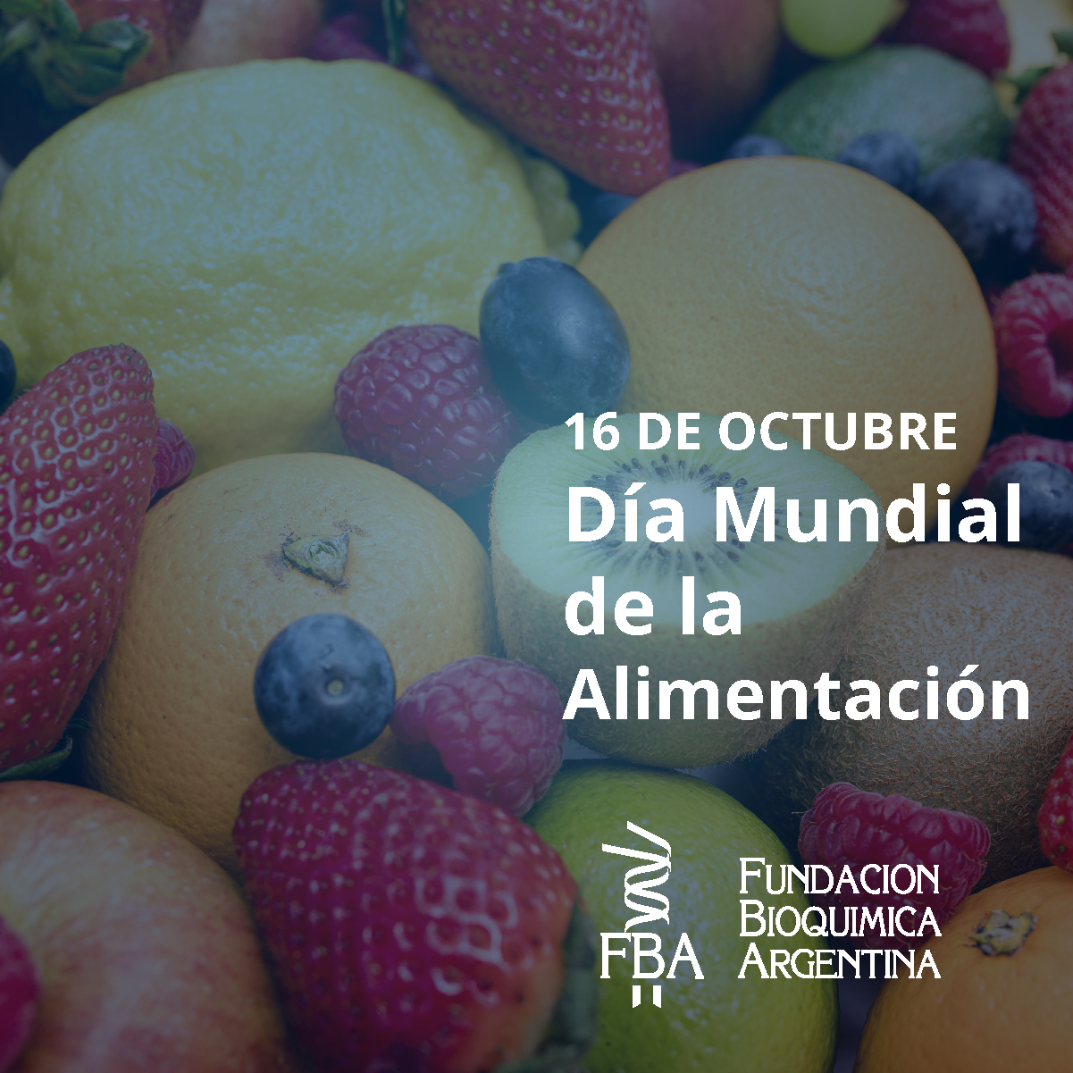 16 De Octubre: “Día Mundial De La Alimentación” – FBA