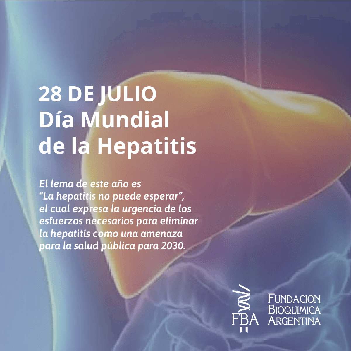 28 De Junio: Día Mundial De La Hepatitis – FBA